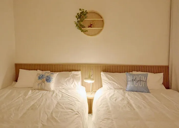 Cozy Erin Stay, Dmc